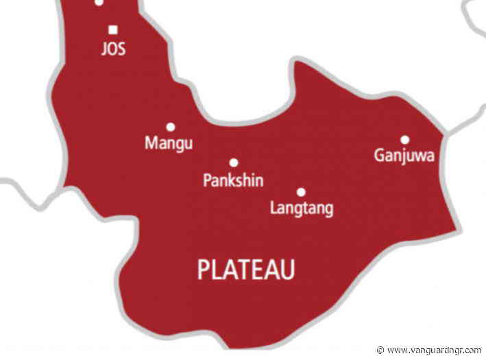 Gunmen kill vigilante in fresh Plateau attack