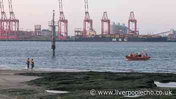 Dog walker and two dogs rescued after being cut off by tide at New Brighton