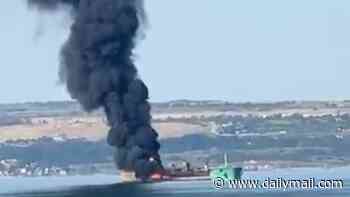 Ukraine blitzes another 19 Russian tankers overnight, with 136 vessels now hit in ten days in huge blow to Putin