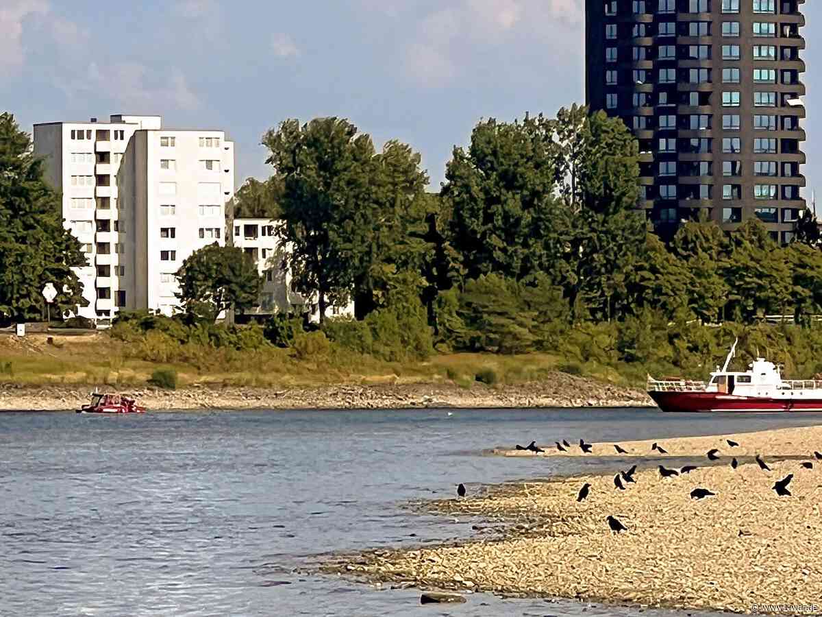 Schwimmer im Rhein bei Köln löst Großeinsatz aus