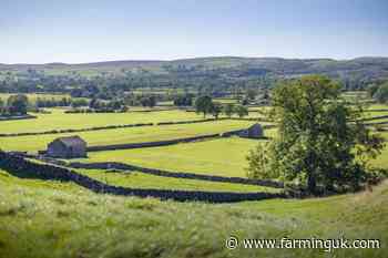 Farmers central to new plan to protect 30% of England for nature