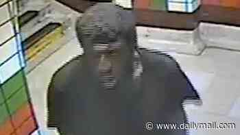 Police hunt man after 'female passenger dragged to the floor in attempted rape' on Bakerloo line train