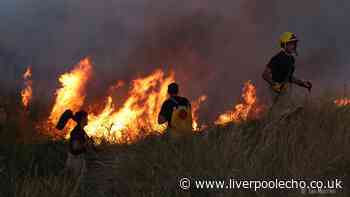 Video shows large fire on Hightown Dunes