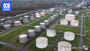 Reserves that prevented 'full-blown' oil shock running low, IMF says