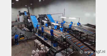 Verwerking biedt beste kans voor Indiase aardappelsector