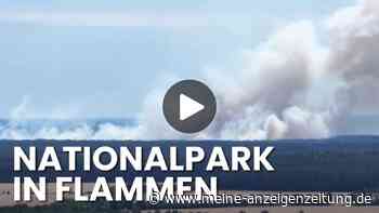 Feuer im Müritz-Nationalpark – und im Waldboden schlummert eine unsichtbare Gefahr