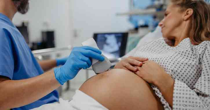 Scientists have discovered how a woman’s brain changes when she has a second child