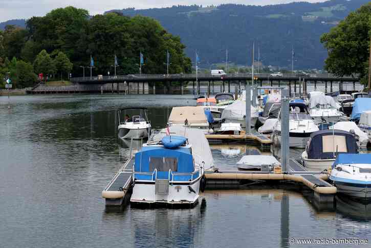 Blaualgen in Bodensee-Seitenarm nachgewiesen