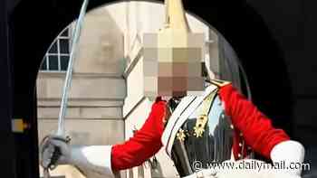 Moment King's Guard horse nearly passes out in 30C heat as soldier is forced to sound emergency alarm