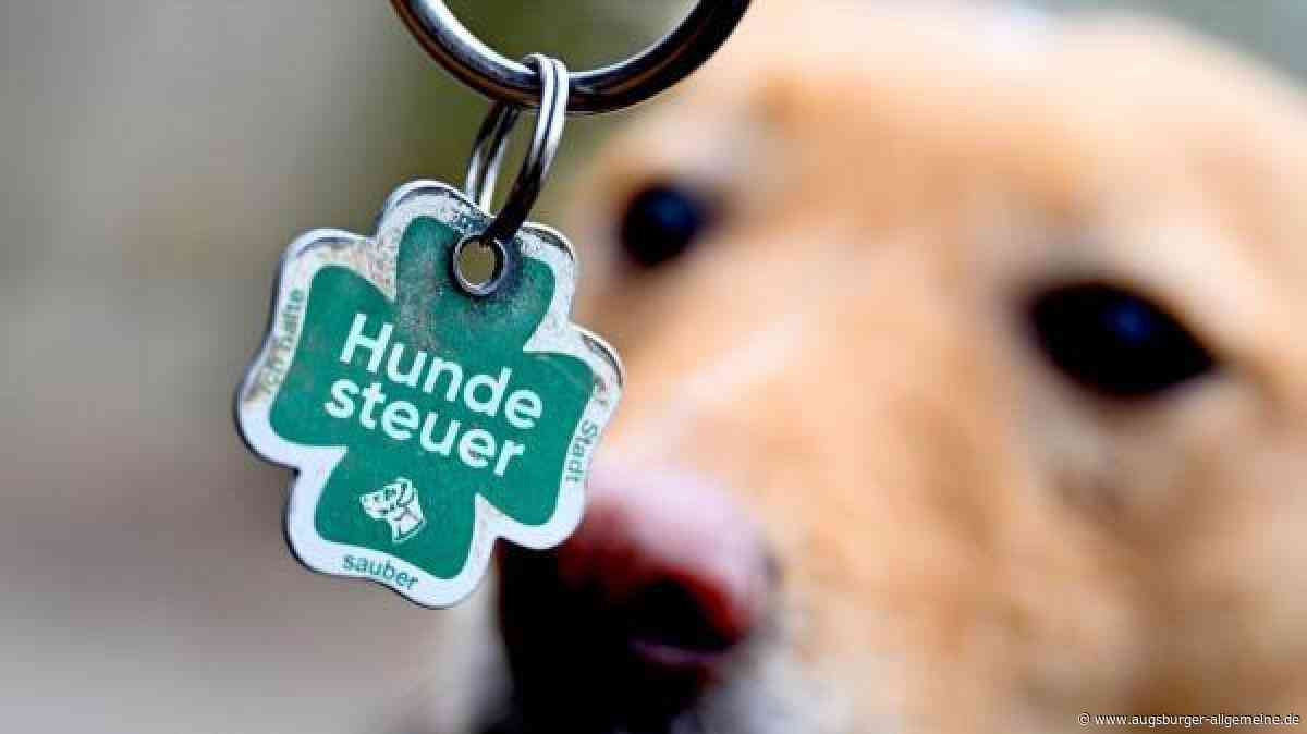 Hundebesitzer in Neuburg müssen sich auf höhere Steuern einstellen