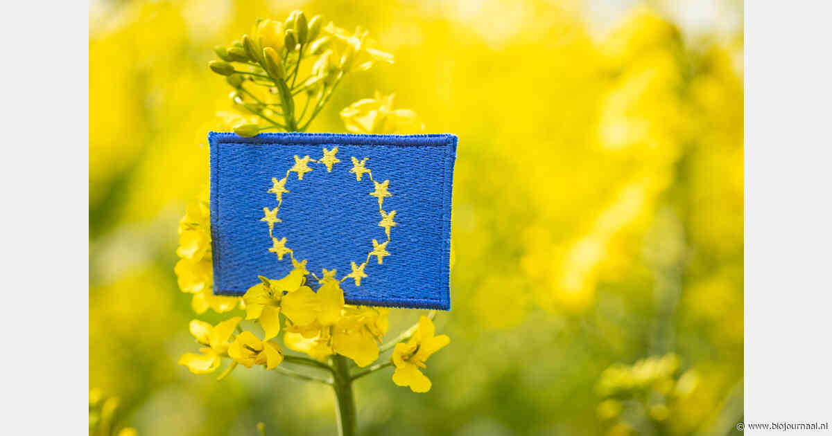Europees Parlement zet herziening biowetgeving voort, IFOAM waarschuwt voor aantasting van biologische principes