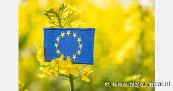Europees Parlement zet herziening biowetgeving voort, IFOAM waarschuwt voor aantasting van biologische principes
