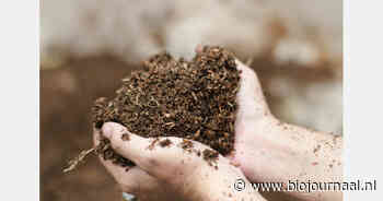 Onderzoek nuanceert beeld van meer humus in biologische bodems