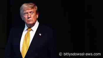 La marcha atrás de Trump respecto al pago de peajes en Ormuz revela sus dificultades para poner fin a la guerra con Irán