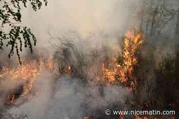 Nombreux papiers journaux froissés, briquet dans le véhicule… Nouvelle garde à vue pour tentative d’incendie près de la forêt de Fontainebleau, un homme de 46 ans suspecté