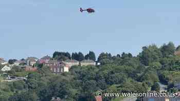 Man dies in Swansea house fire