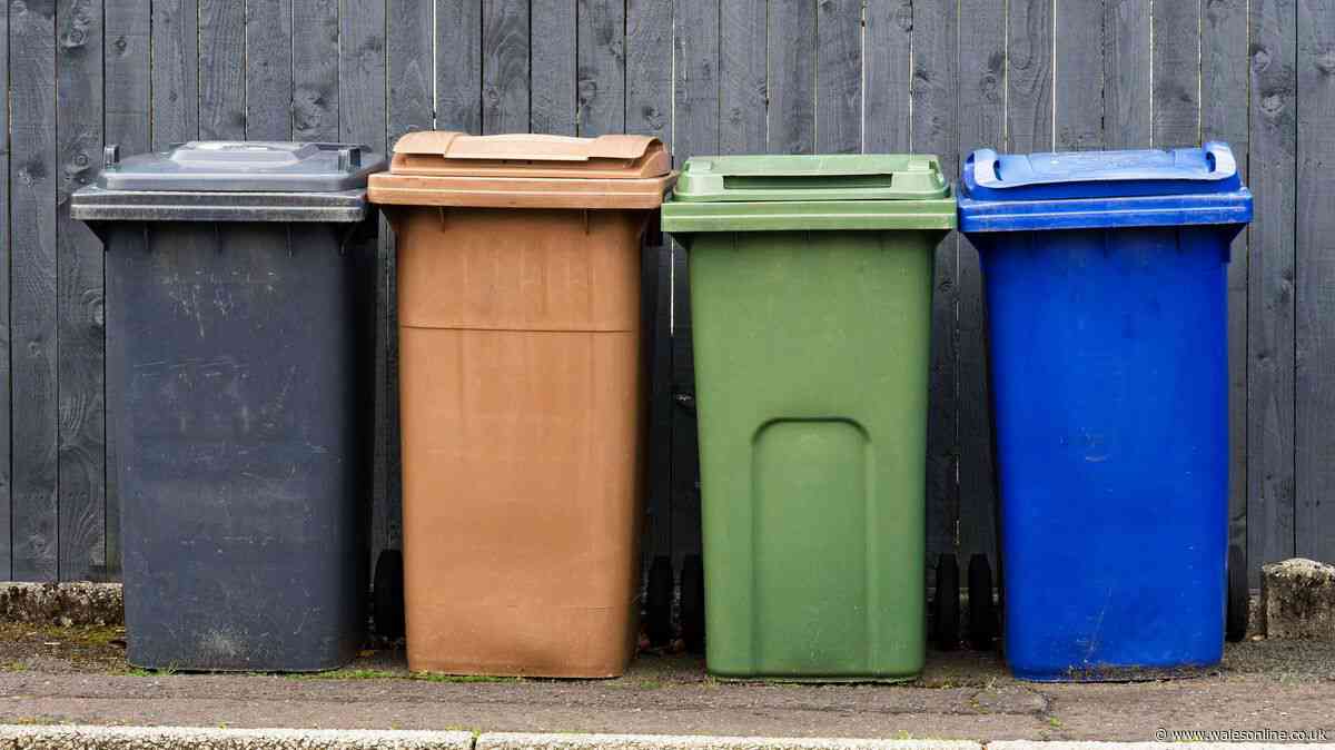 Flies and maggots will leave your bin alone if you add 50p item to lid