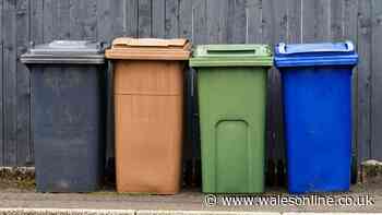 Flies and maggots will leave your bin alone if you add 50p item to lid