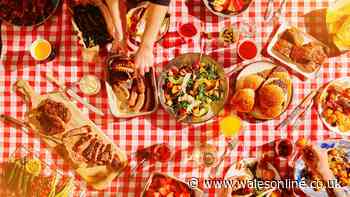 Five barbecue items banned from recycling bins — waste experts issue warning