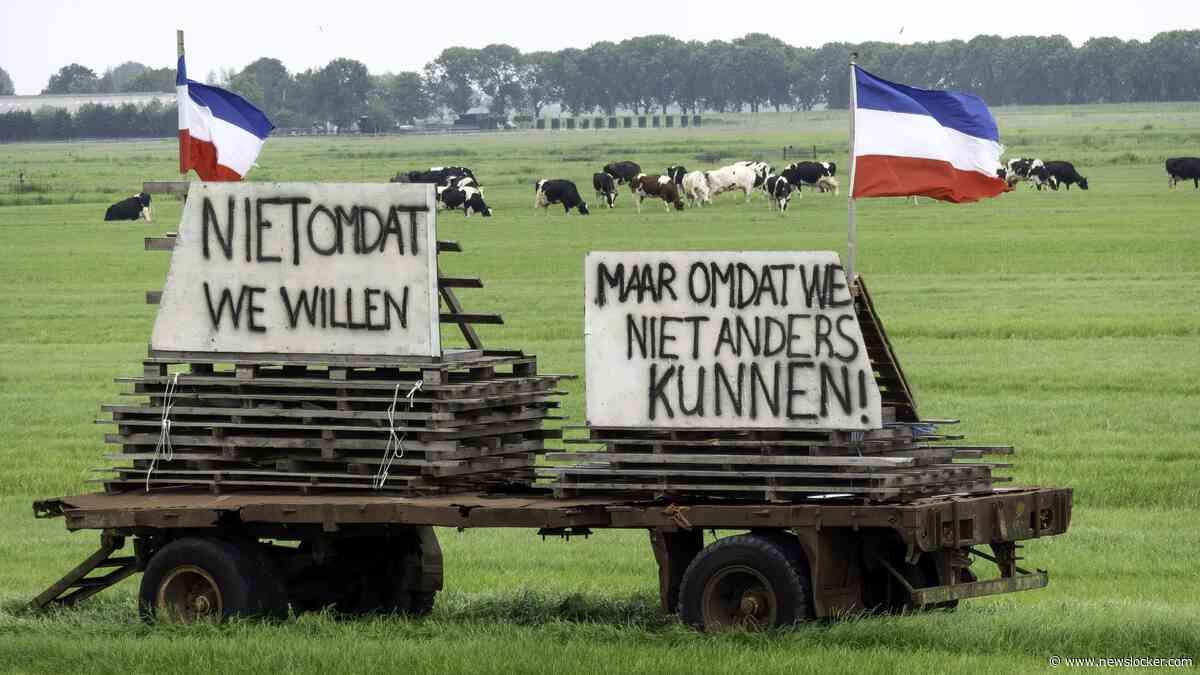 Domper voor Nederlandse boeren: EU-mestregels gaan niet op de schop