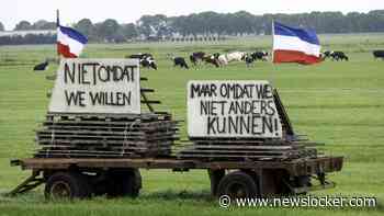 Domper voor Nederlandse boeren: EU-mestregels gaan niet op de schop
