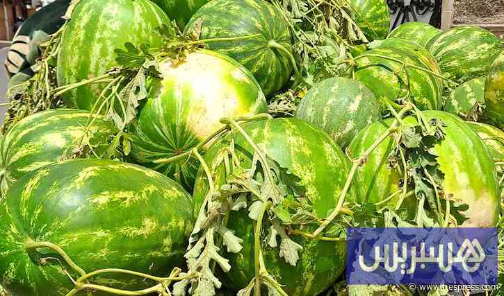 "أونسا" يؤكد سلامة "الدلاح" .. ومهنيون يردون ال