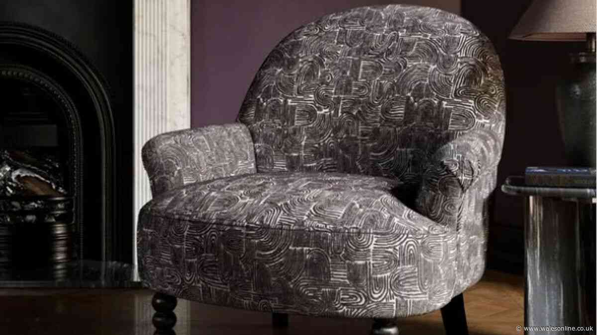 'Absolutely beautiful' Dunelm armchair 'for small rooms' drops by £50 in sale
