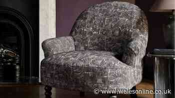 'Absolutely beautiful' Dunelm armchair 'for small rooms' drops by £50 in sale