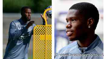Yakubu delivers honest verdict on Everton strikers and Liam Delap transfer