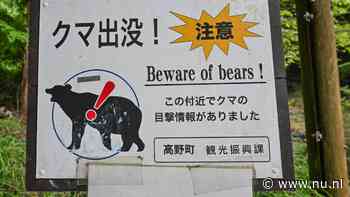 Japan is op zoek naar beer die koelkast plunderde en mogelijk serie-inbreker is