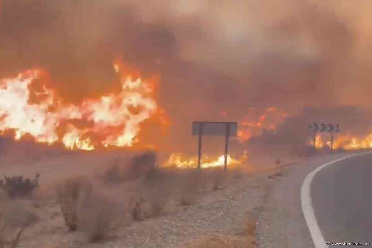Seven British nationals killed in Spanish wildfires, police say