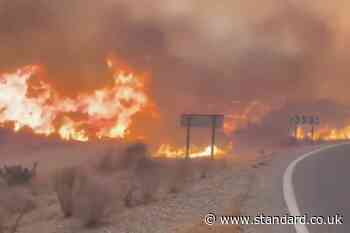 Seven British nationals killed in Spanish wildfires, police say