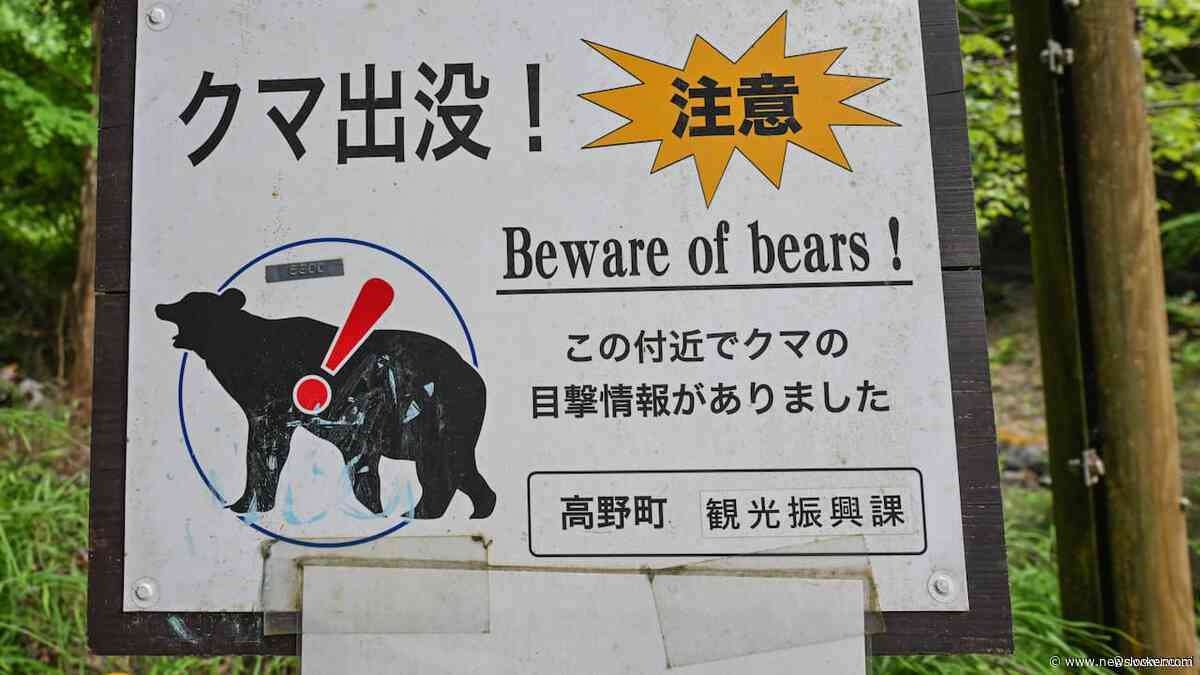 Japan is op zoek naar beer die koelkast plunderde en mogelijk serie-inbreker is