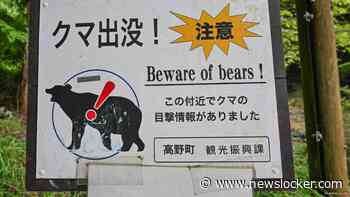 Japan is op zoek naar beer die koelkast plunderde en mogelijk serie-inbreker is