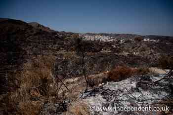 Seven British nationals confirmed dead in devastating Spanish wildfires