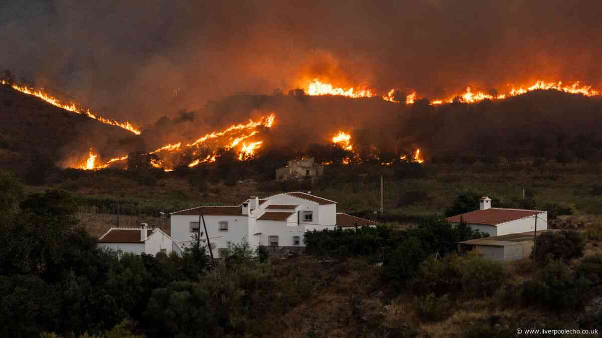 Seven Brits among those killed in devastating Spain wildfires