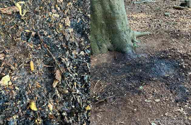 POL-VIE: Viersen-Beberich: Brand in einem Waldstück - Zigarettenkippe gefunden