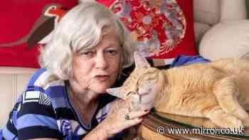 Ann Widdecombe's cat 'confirmed safe and well' after former Tory MP found dead at home