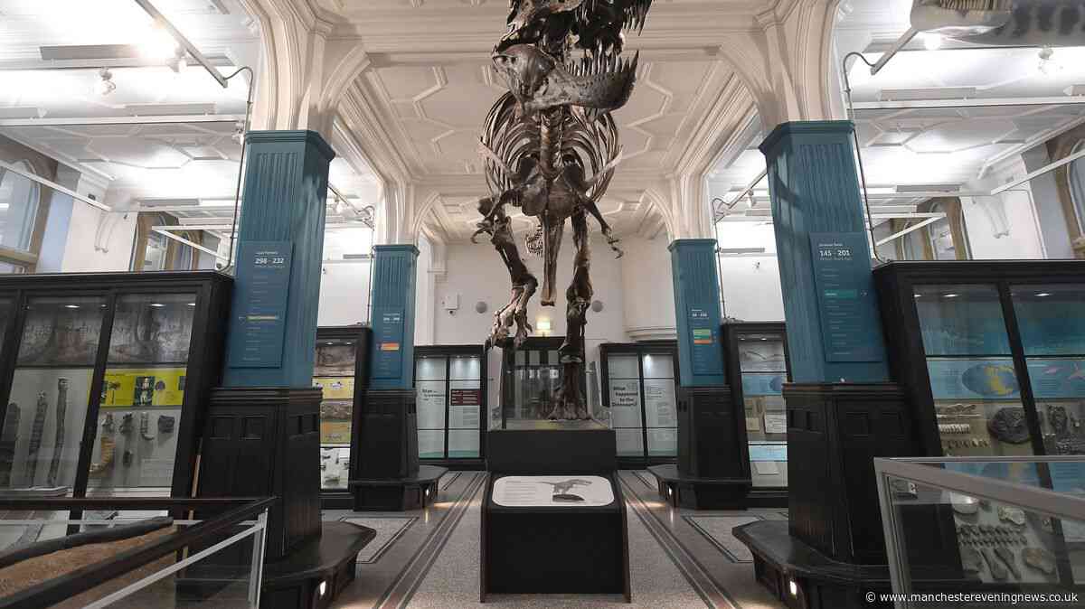 Manchester Museum's Stan the T-Rex on the move after 22 years