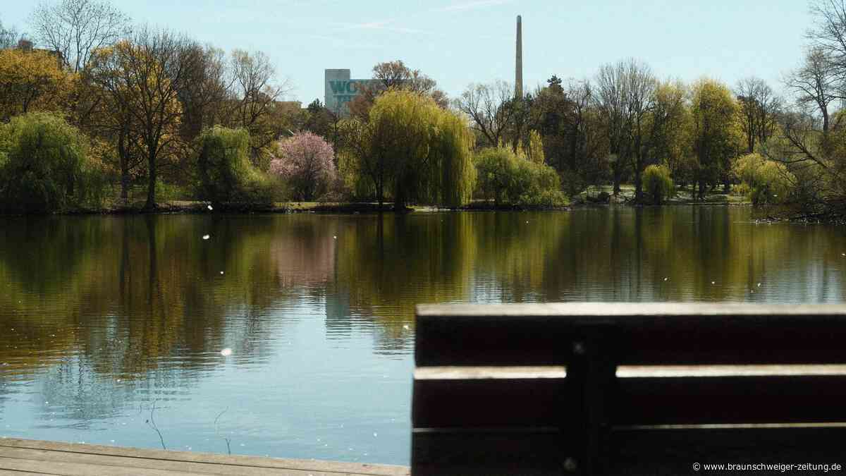 Diese Wege in Braunschweigs Bürgerpark werden erneuert