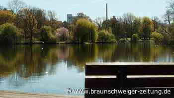 Diese Wege in Braunschweigs Bürgerpark werden erneuert
