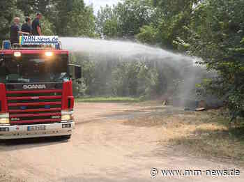 Ludwigshafen – Brandstiftung im Maudacher Bruch – Feuerwehr verhindert größere Ausbreitung