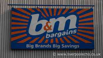 Work from home in 'ultimate comfort' with B&M's new £10 item