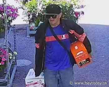 NBPS seeking to identify theft suspect