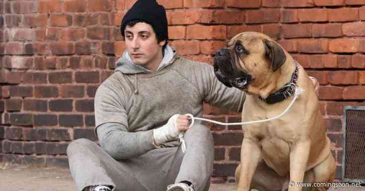I Play Rocky Trailer: Watch Paramount+ Star Transform Into Sylvester Stallone in New Movie