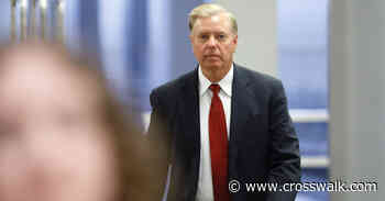 Lindsey Graham's Sister Selected to Serve Late Brother's Term