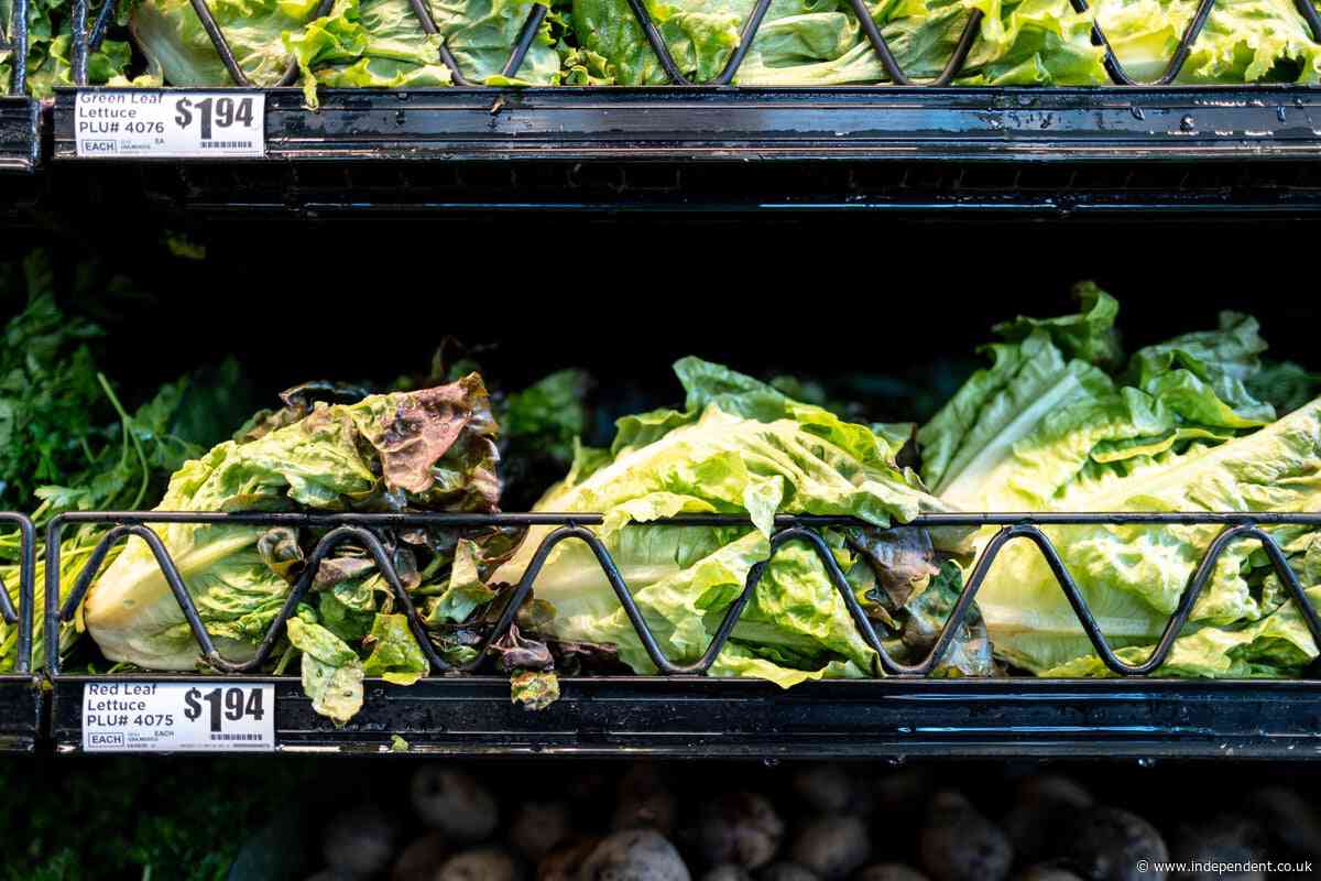 Should you really ditch produce during cyclosporiasis outbreak? As cases spread expert advice varies