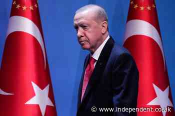 Erdogan calls for deportation of suspects linked to failed coup a decade ago