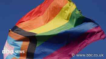 Council leader ends support for town's Pride events