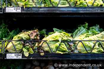 Should you really ditch produce during cyclosporiasis outbreak? As cases spread, expert advice varies